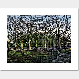 Woodland in the Norfolk Broads Posters and Art